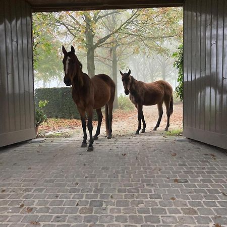 Imagine B&B Wortegem Bagian luar foto
