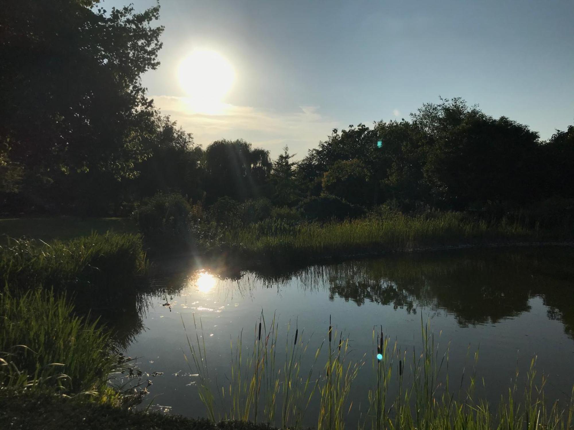 Imagine B&B Wortegem Bagian luar foto