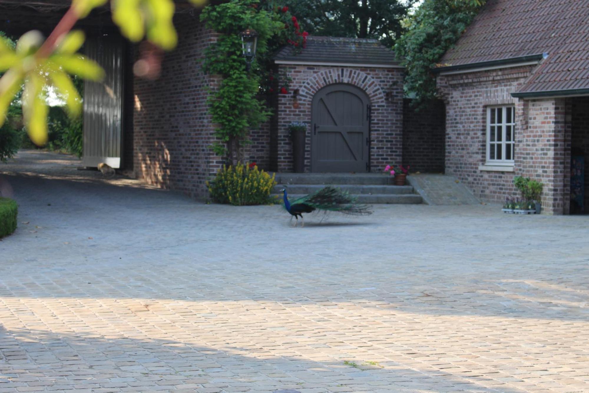 Imagine B&B Wortegem Bagian luar foto